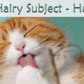 It’s a Hairy Subject - Hairballs