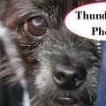 Thunderstorm Phobias