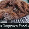 Want to Increase Productivity?