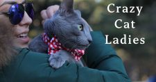 Study Finds Crazy Cat Ladies