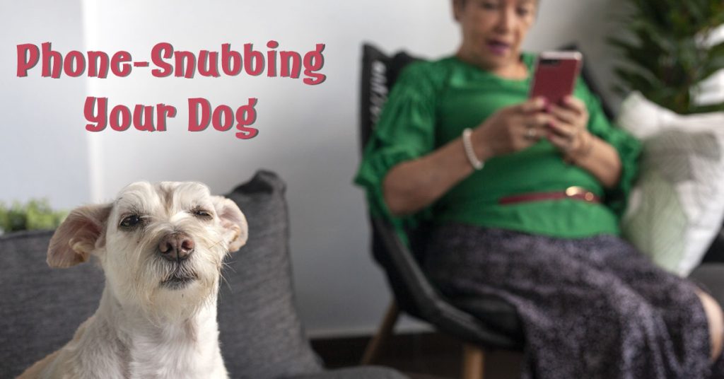 Can cell phones cause pet depression? Lady on her cell phone and the dog is not happy about it.