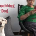 Can cell phones cause pet depression? Lady on her cell phone and the dog is not happy about it.